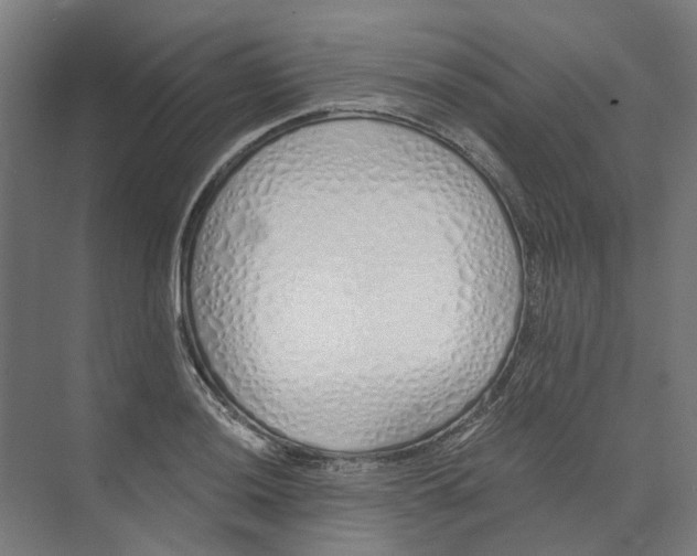 X0000073511036200608281702