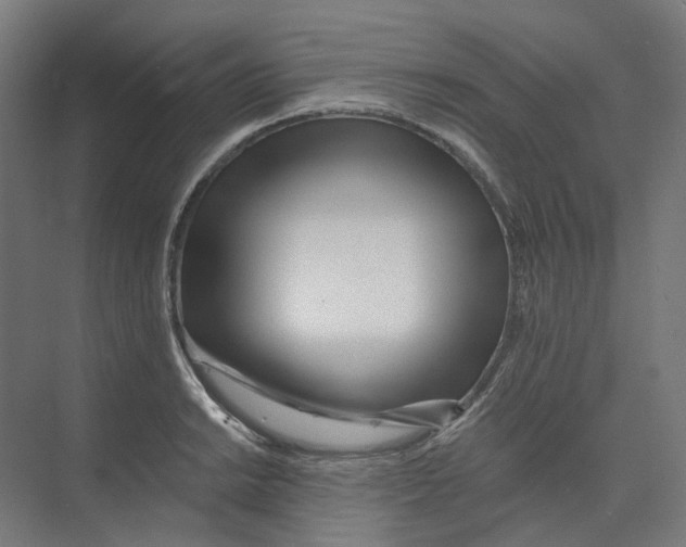 X0000073511038200608281702