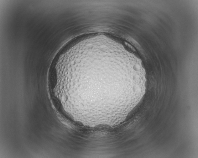 X0000073511039200608281702