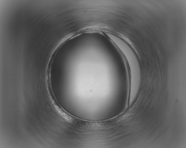X0000073511042200608281702