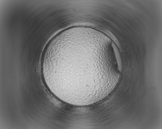 X0000073511044200608281702