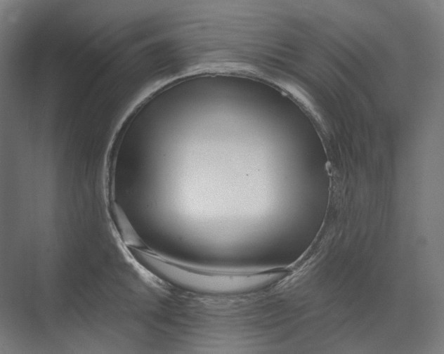X0000073511046200608281702
