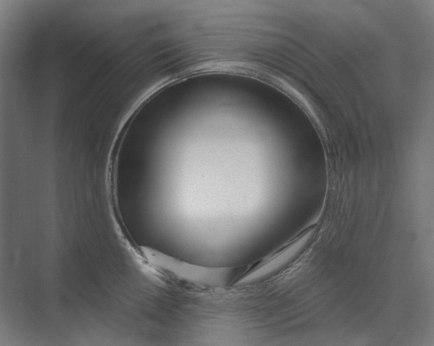 X0000073511050200608281702