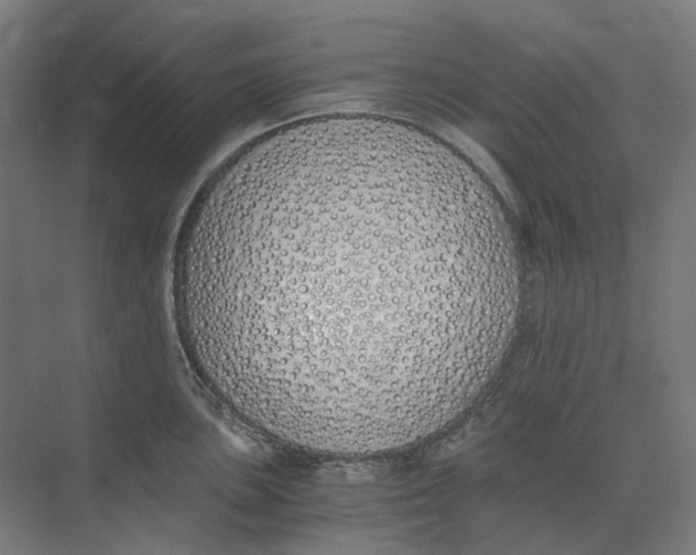 X0000073511051200608281702