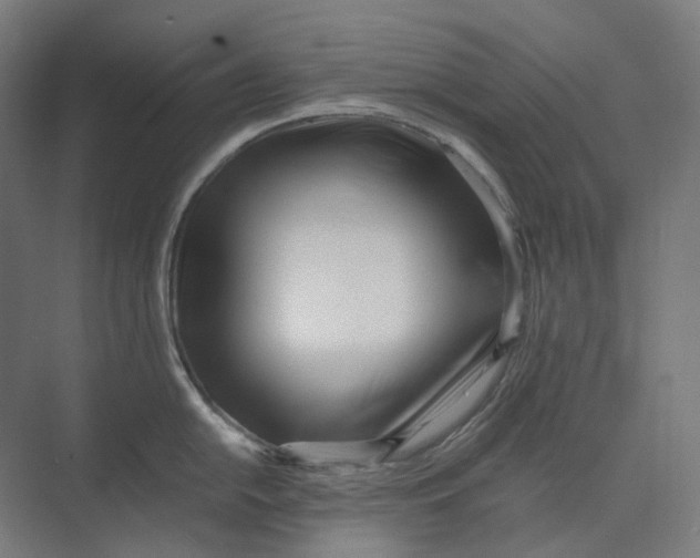 X0000073511054200608281702