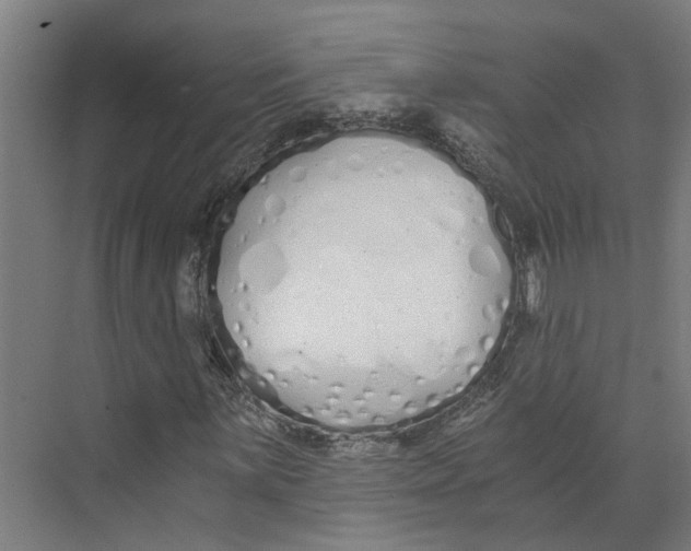 X0000073511059200608281701