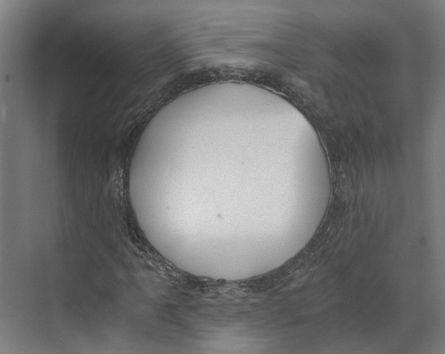 X0000073511061200608281701