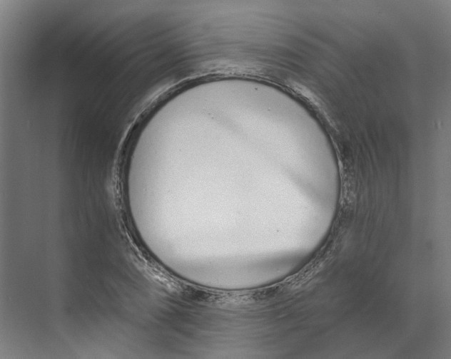 X0000073511074200608281701