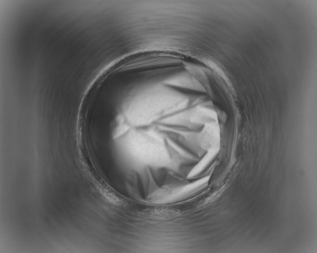 X0000073511077200608281701