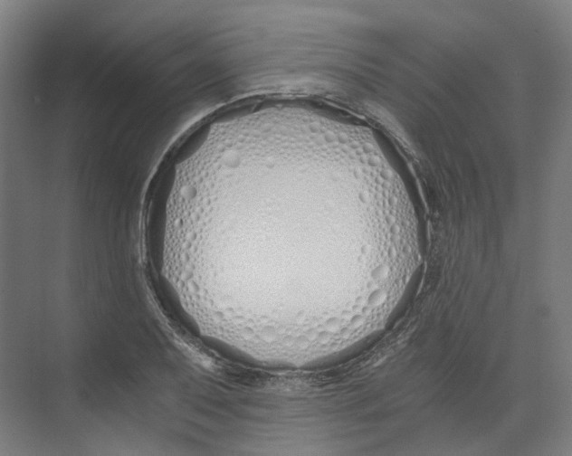 X0000073511079200608281701