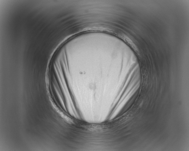 X0000073511084200608281701