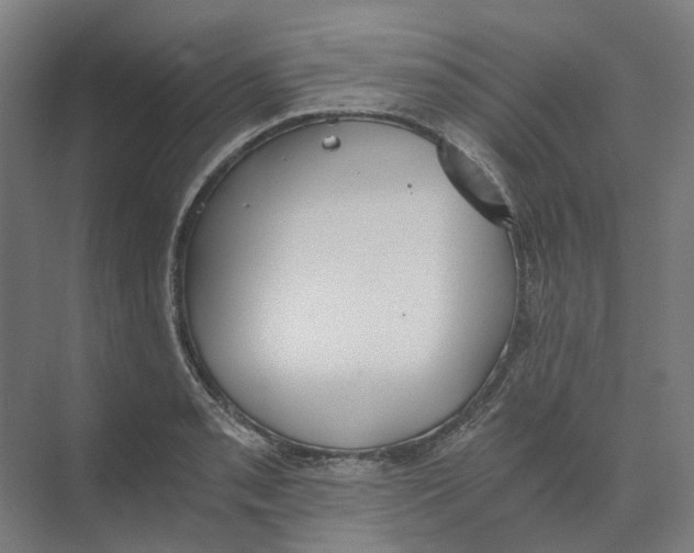 X0000073511085200608281701