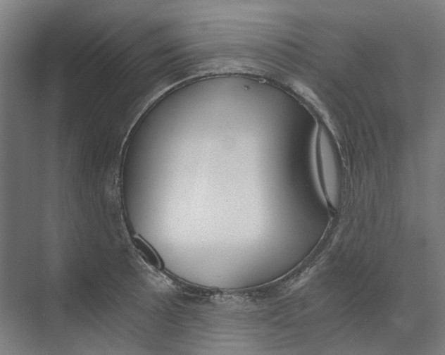 X0000073511089200608281701