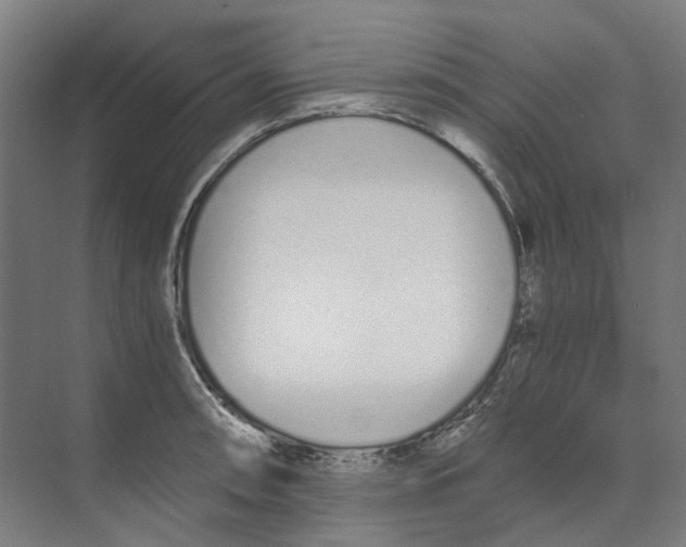 X0000073511090200608281701