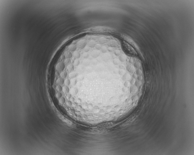 X0000073511091200608281701
