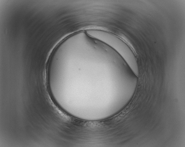 X0000073511092200608281701