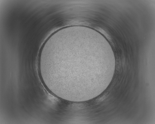 X0000073511094200608281701