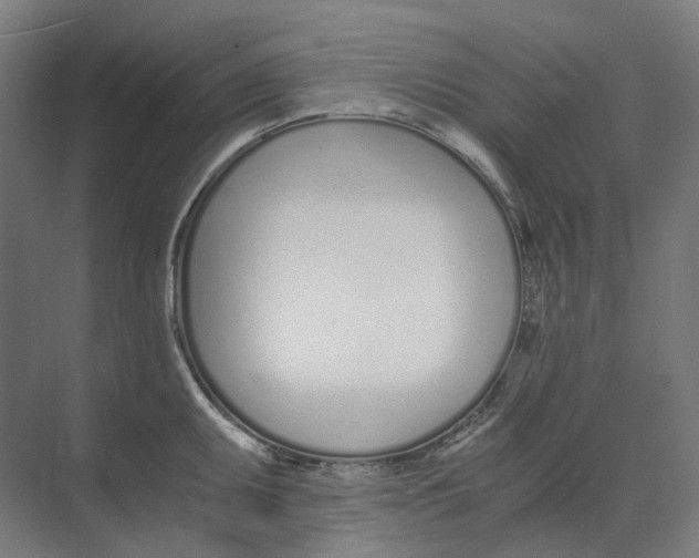 X0000073511095200608281701
