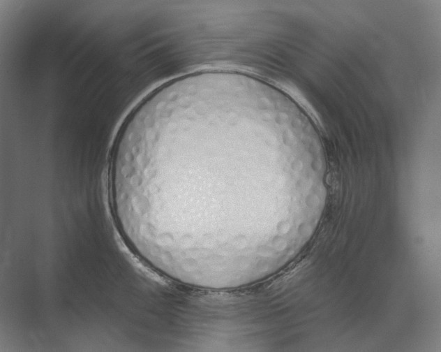 X0000073511100200608281701