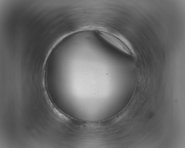 X0000073511102200608281701
