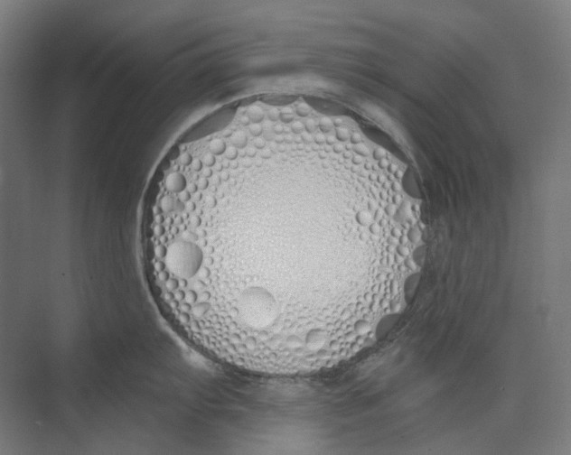 X0000073511103200608281701