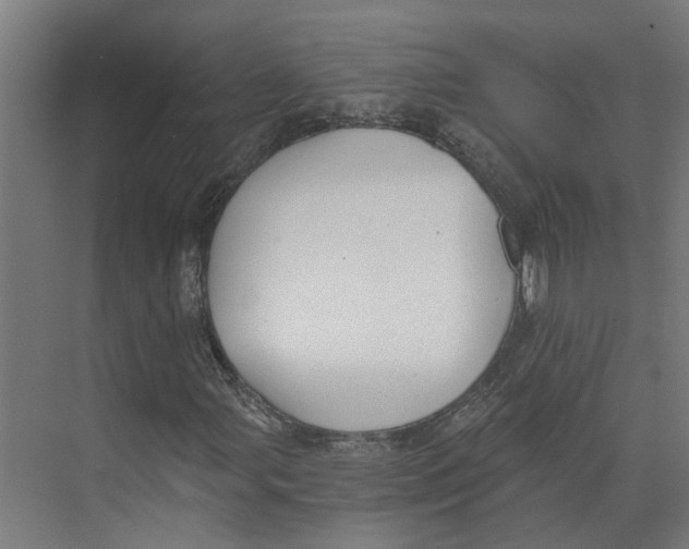 X0000073511107200608281700