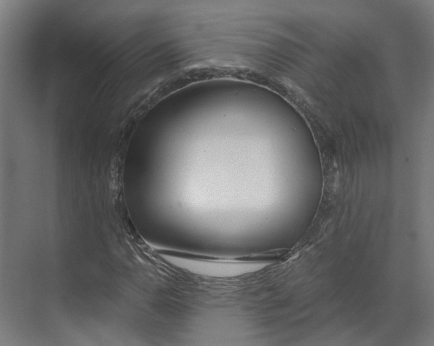 X0000073511110200608281700