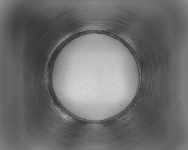 X0000073511119200608281700