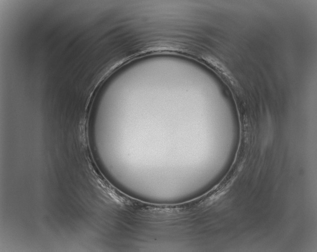 X0000073511121200608281700