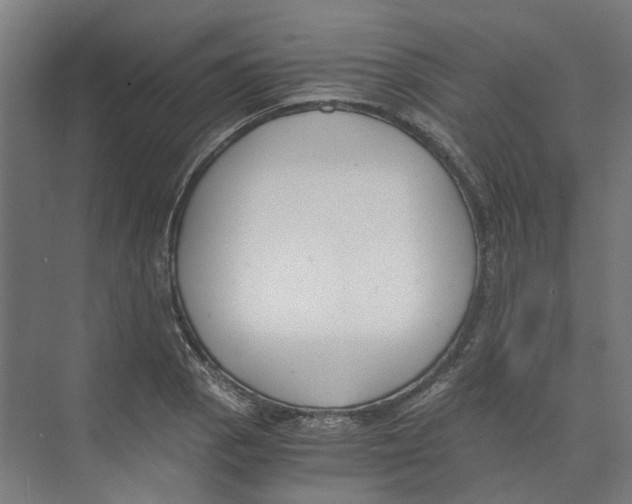X0000073511129200608281700