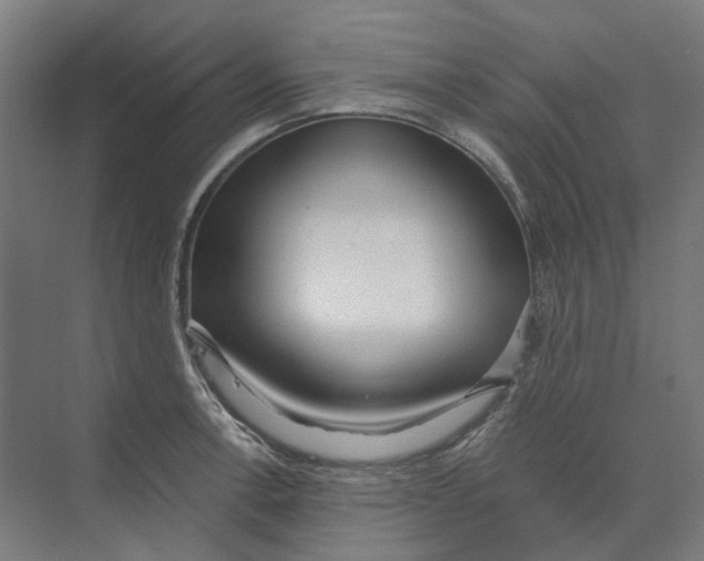 X0000073511138200608281700