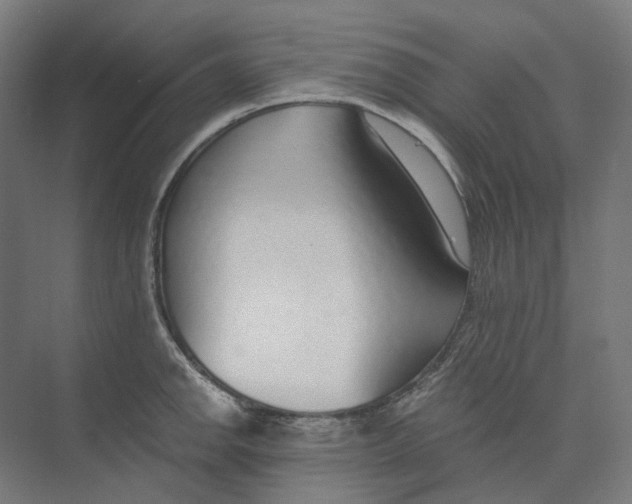 X0000073511142200608281700