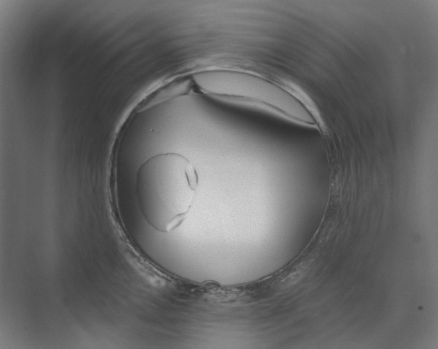 X0000073511146200608281700