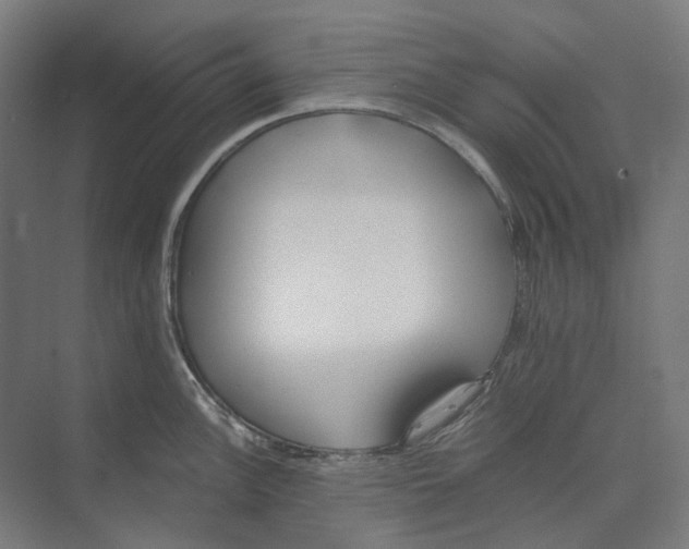 X0000073511148200608281700