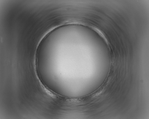 X0000073511149200608281700
