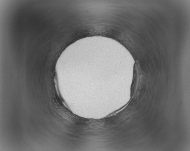 X0000073511153200608281700