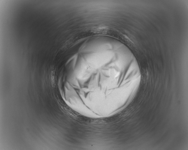 X0000073511154200608281700