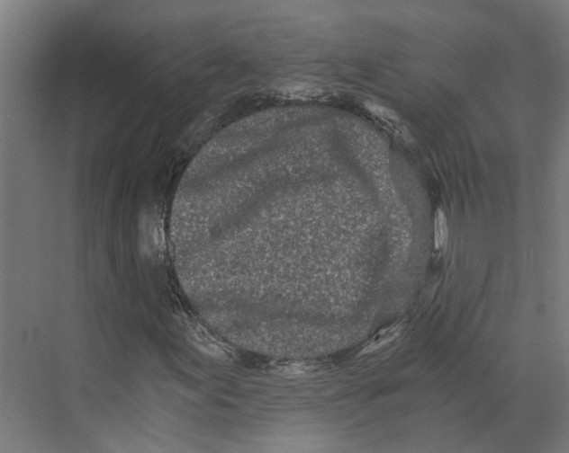 X0000073511155200608281700