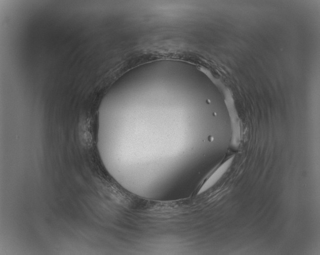 X0000073511156200608281700