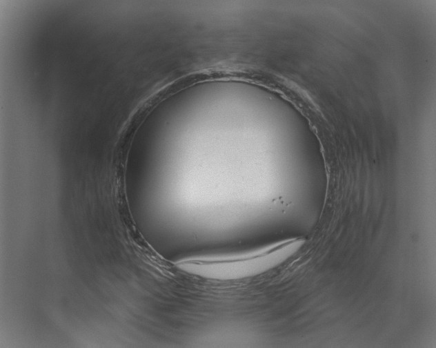 X0000073511160200608281700