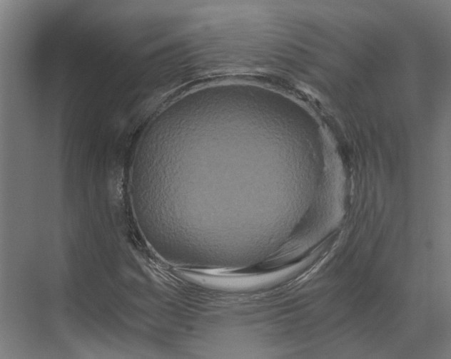X0000073511161200608281700