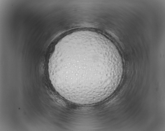 X0000073511163200608281700