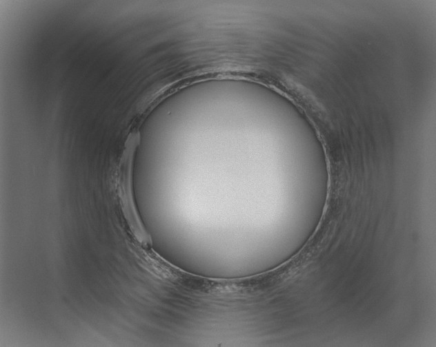 X0000073511169200608281659