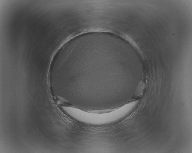 X0000073511173200608281659