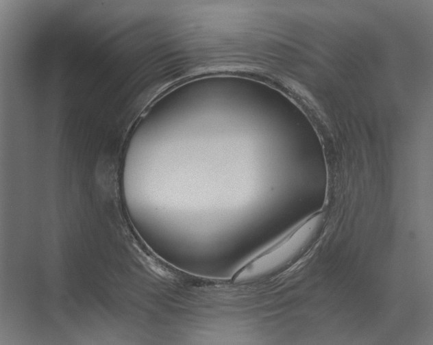 X0000073511177200608281659