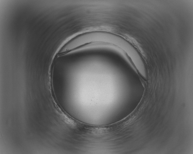 X0000073511184200608281659