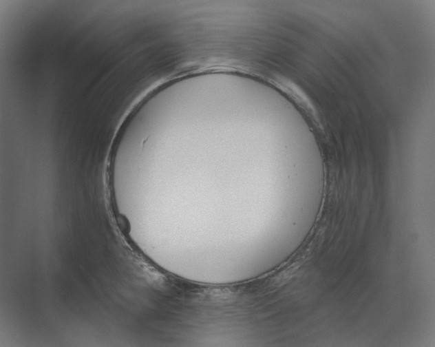 X0000073511190200608281659