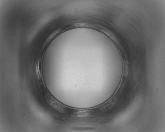 X0000073511198200608281659