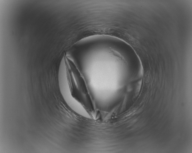X0000073511202200608281658