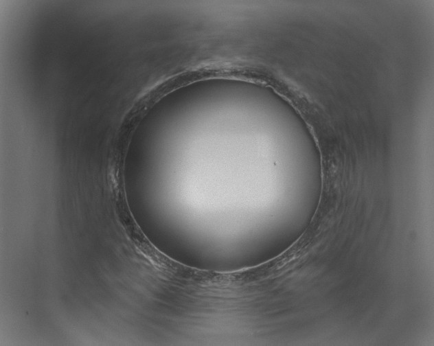 X0000073511206200608281658
